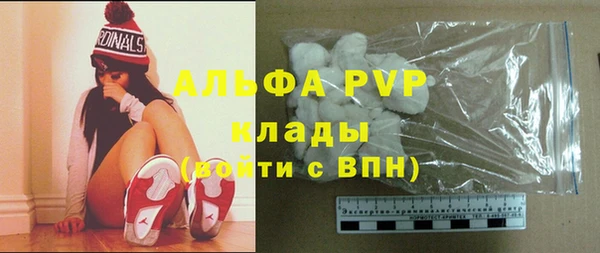 спиды Магас