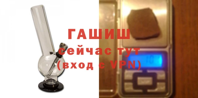 спиды Магас