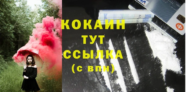 спиды Магас