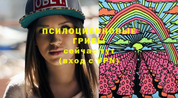 спиды Магас
